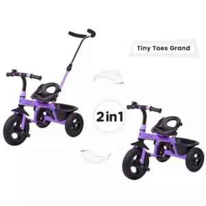 R for Rabbit Tiny Toes Grand The Smart Plug N Play Tricycle - Purple-33335